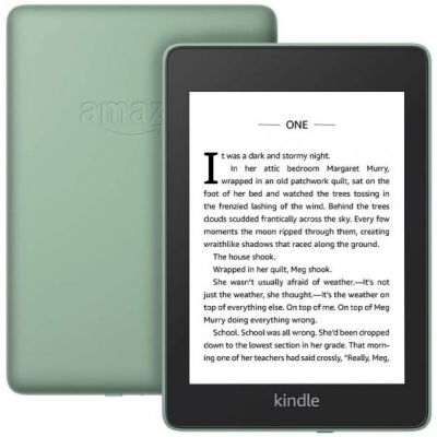 Amazon Kindle Paperwhite 10th Gen. 8GB Sage