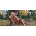 Jurassic World Evolution 2 PS4 фото  - 6