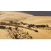 Dakar Desert Rally (PS4) фото  - 0